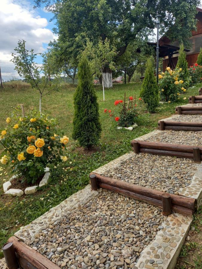 Mînăstirea Humorului Casa Paty 빌라 외부 사진